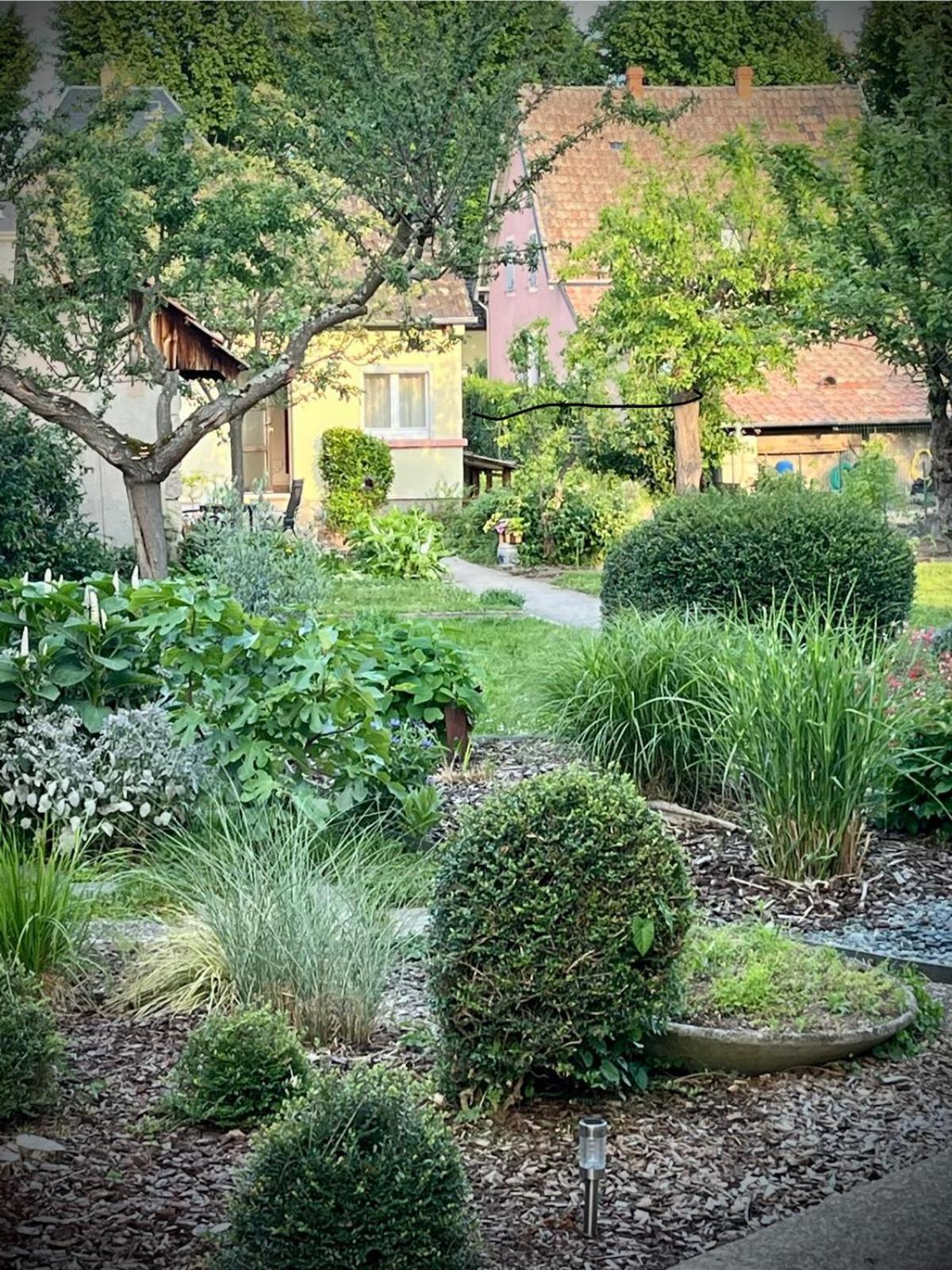Le Beethoven Villa Colmar Ngoại thất bức ảnh